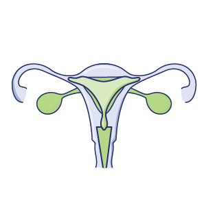 Reproductive
