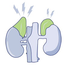 trauma-adrenal