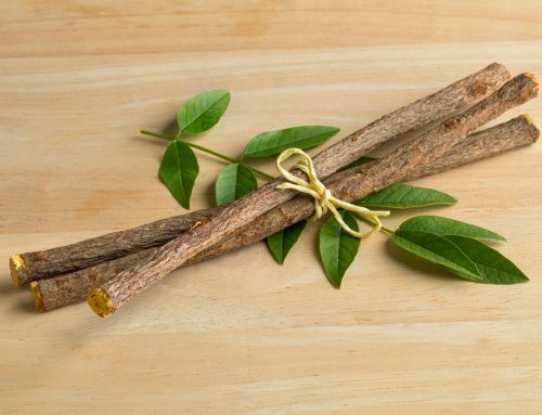 Ashwagandha: A Tradition of Rejuvenation