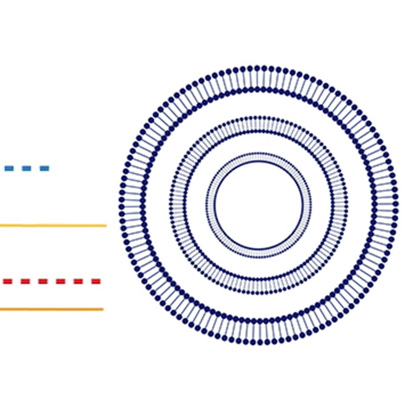 Liposomes: A Breakthrough in Nutrient Delivery