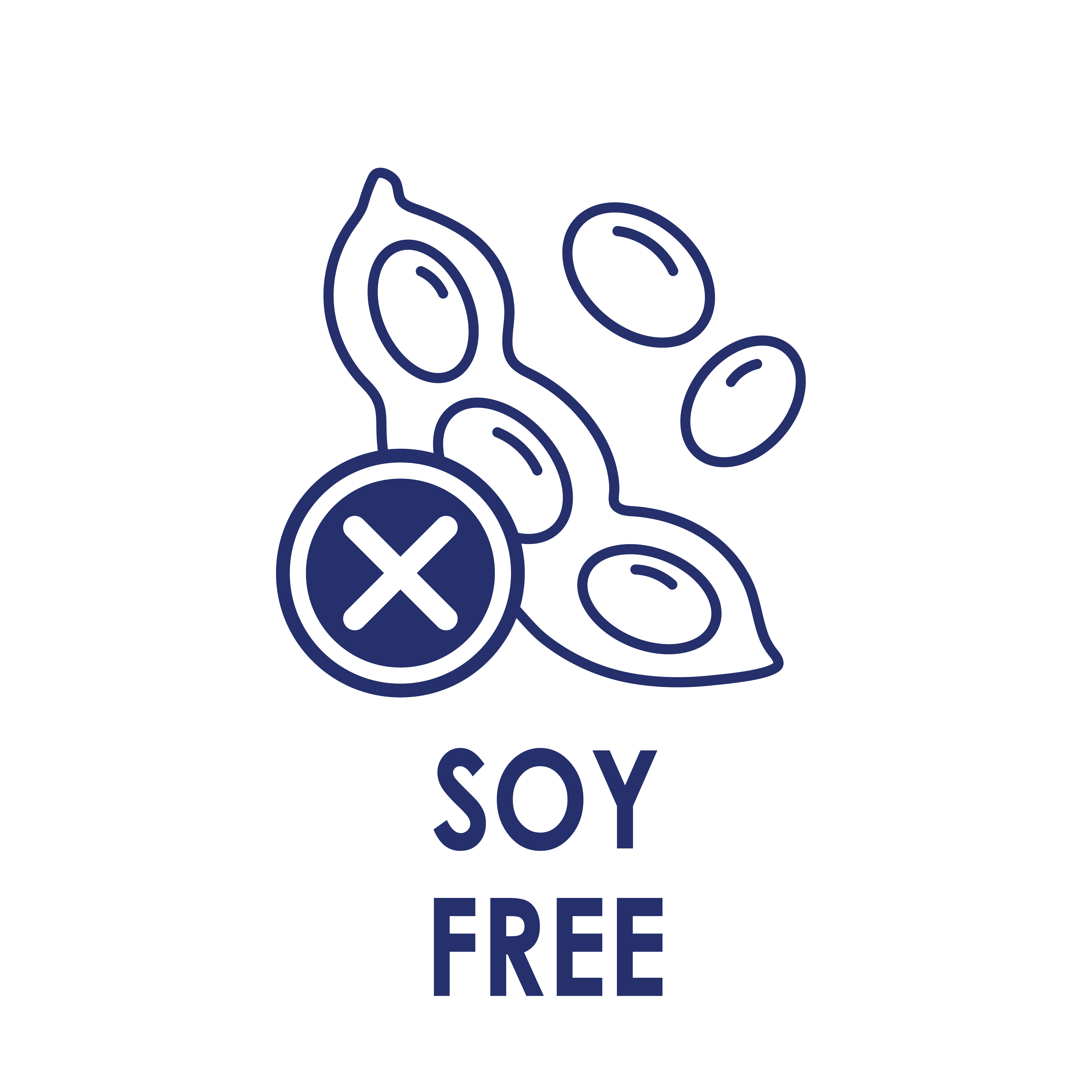 Soy Free