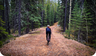 An individual rides a bike away from the camera down a dirt path, surrounded by trees on either side.